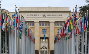 United Nations Flags