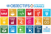 SDGs